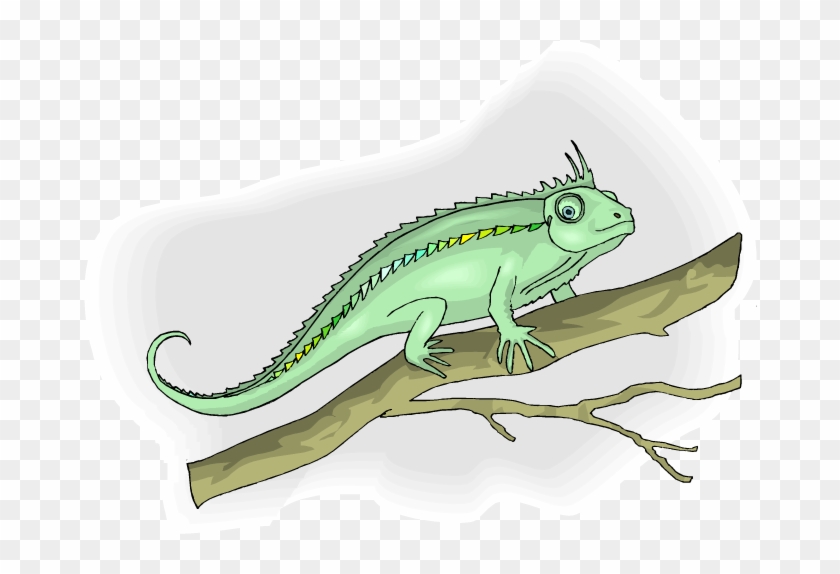 Chameleon - Cartoon Clipart #5533455
