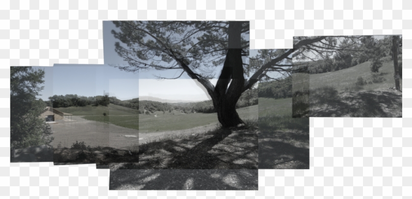 Hockney Of Paso Clipart #5535032