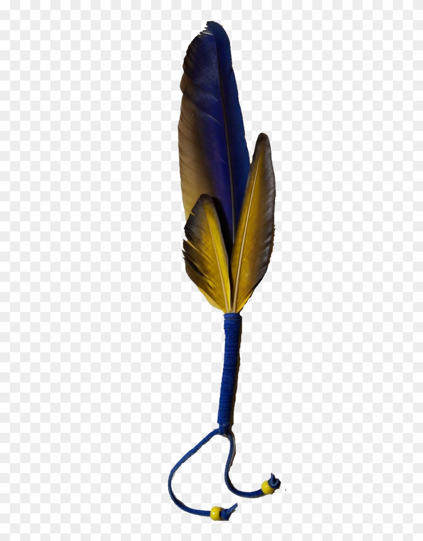 Macaw Feather Png High-quality Image - Calligraphy Clipart