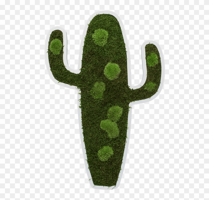 Cactus Pictogram 60 Cm - Chlorophyta Clipart