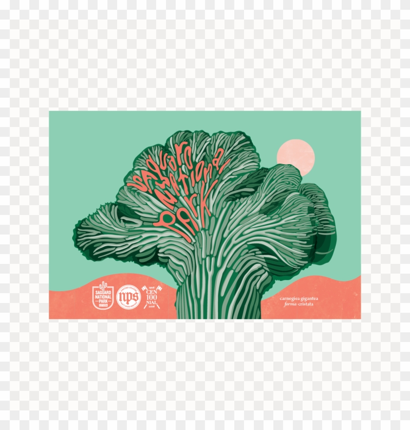 Saguaro National Park Clipart