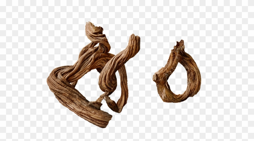 Driftwood Clipart #5536077