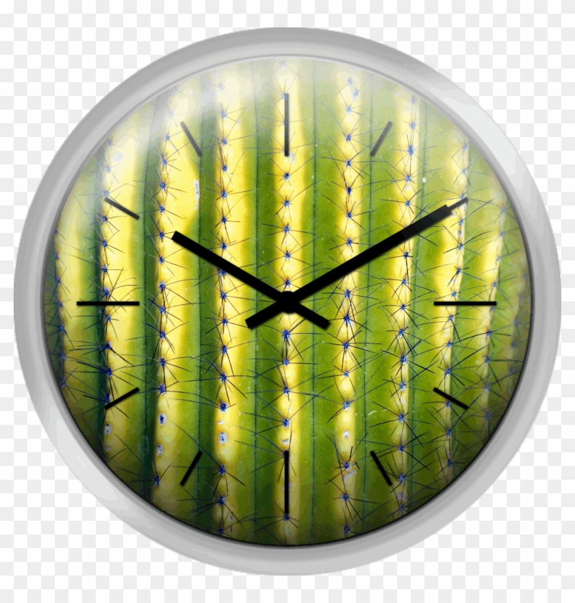 Green Saguaro Cactus - Circle Clipart #5536481