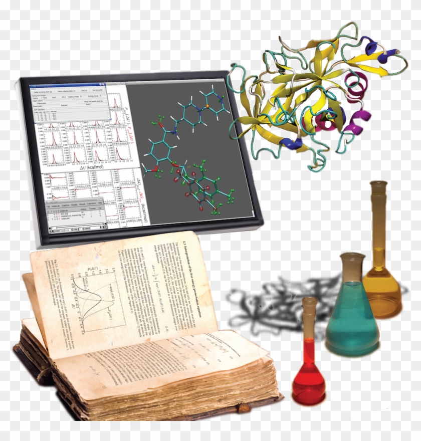 On Of Rare Events In Biology - Chair Clipart