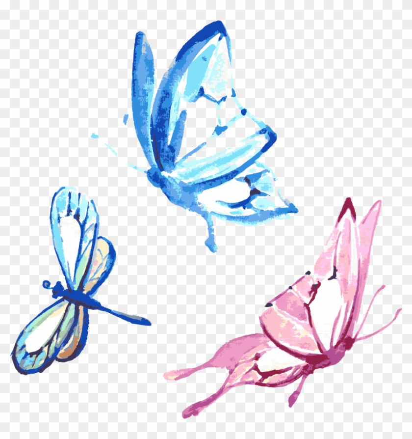 Feathers Clipart Butterfly - Watercolor Butterfly Transparent Background - Png Download #5538810