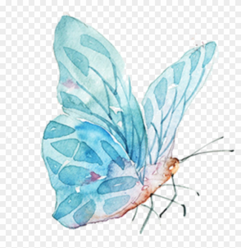 #watercolor #butterfly - Watercolor Butterfly Transparent Png Clipart