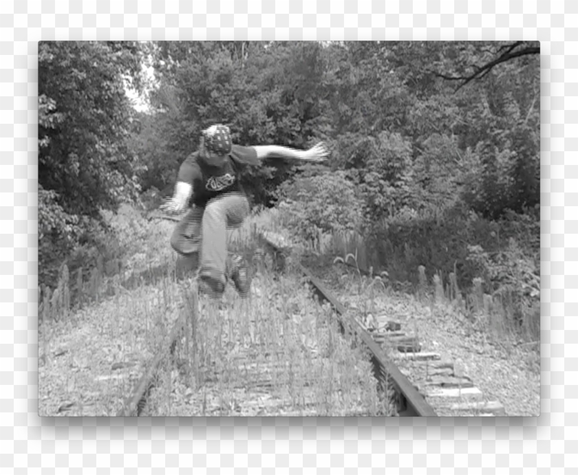 Snapshot Clipart #5540559