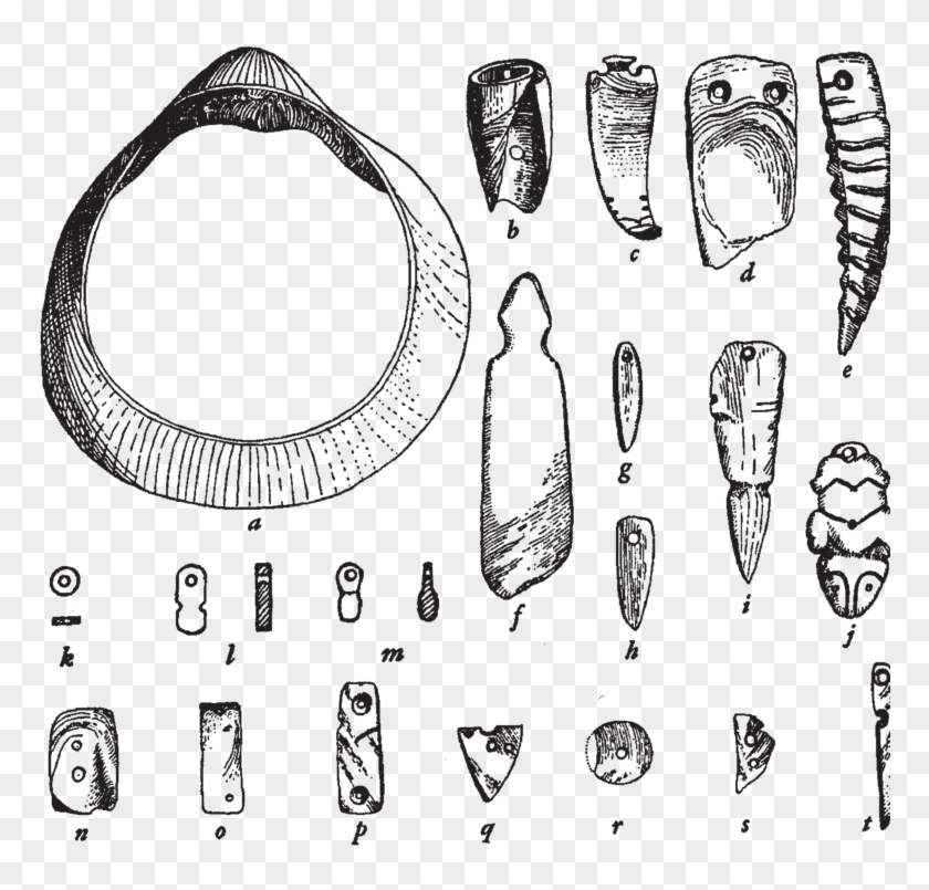 Objetos De Concha De Las Fases Culiacán Temprano I, - Sketch Clipart