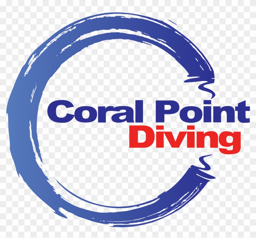 Circle Clipart #5541282