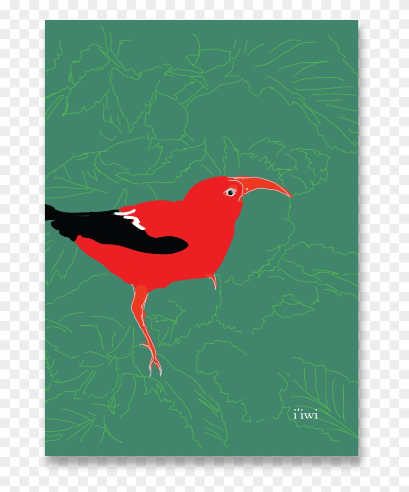 Iiwi Notecard - Cardinal Clipart #5541484