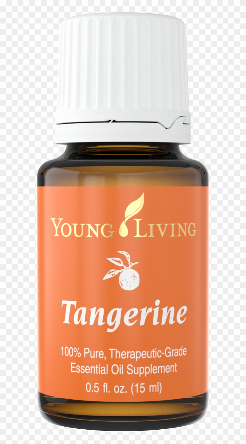 Tangerine - Citrus Fresh Essential Oil Young Living Clipart #5542427