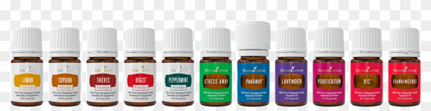 Young Living Essential Oils Starter Kit - Young Living Premium Starter Kit Oils 2018 Clipart #5542492