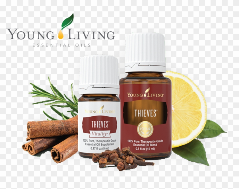 Image - Young Living All About Thieves Clipart #5542618