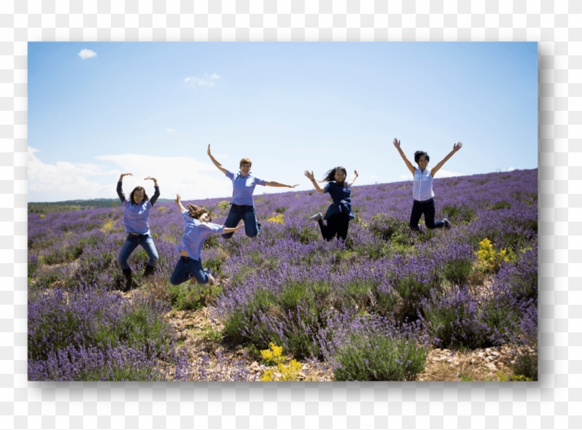 Young Living- Essential Oils 101 Basics - Fun Clipart #5542845