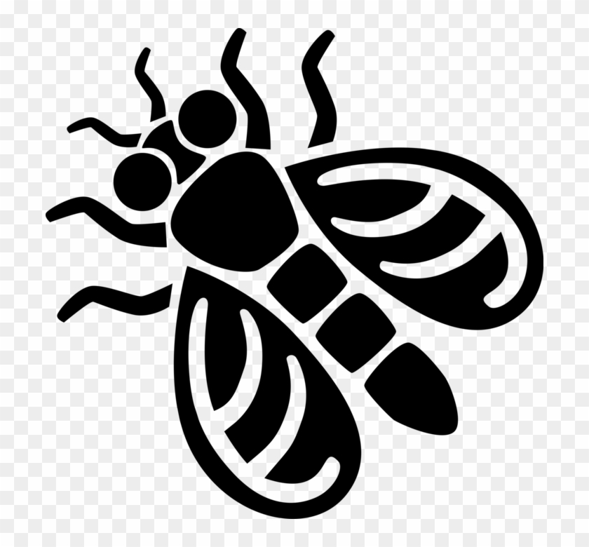 Vector Illustration Of Common Housefly Insect Fly - Minibeast Clipart