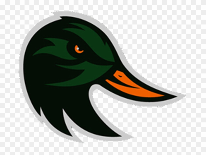 Duck Clipart Profile - Taylor Ducks Logo - Png Download #5544709