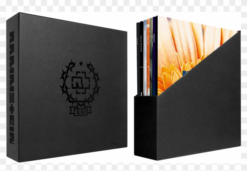 Stock Photo Clipart #5545622