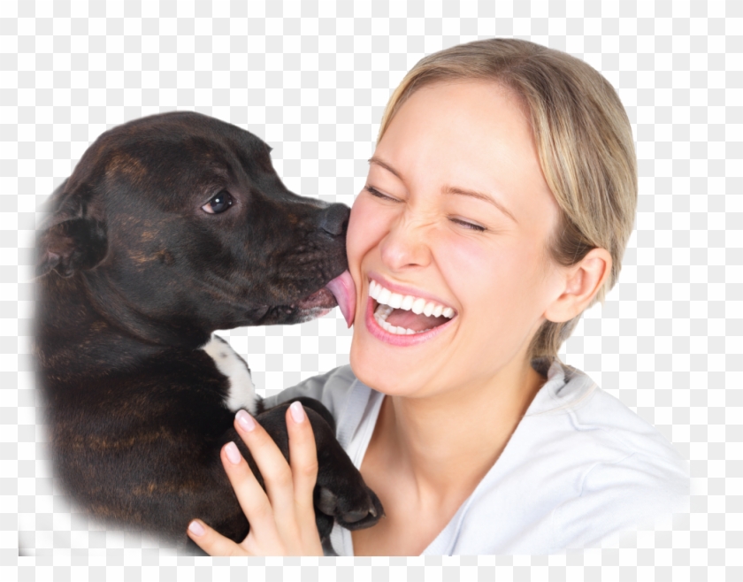 11 Formas Do Cachorr - Dogs Lick Us Because We Have Bones Clipart #5546243
