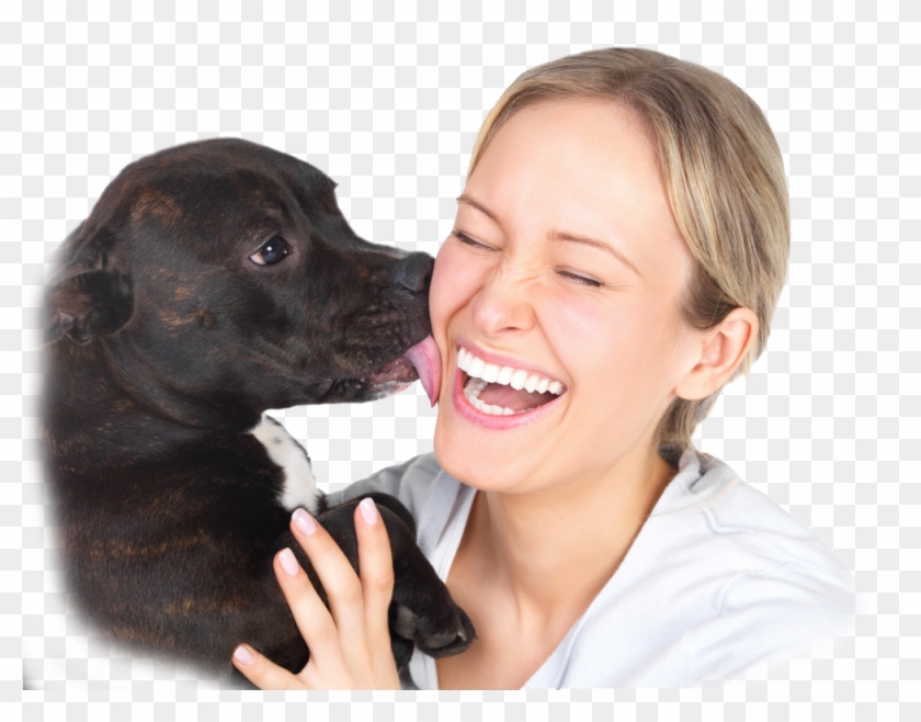 11 Formas Do Cachorr - Dogs Lick Us Because We Have Bones Clipart