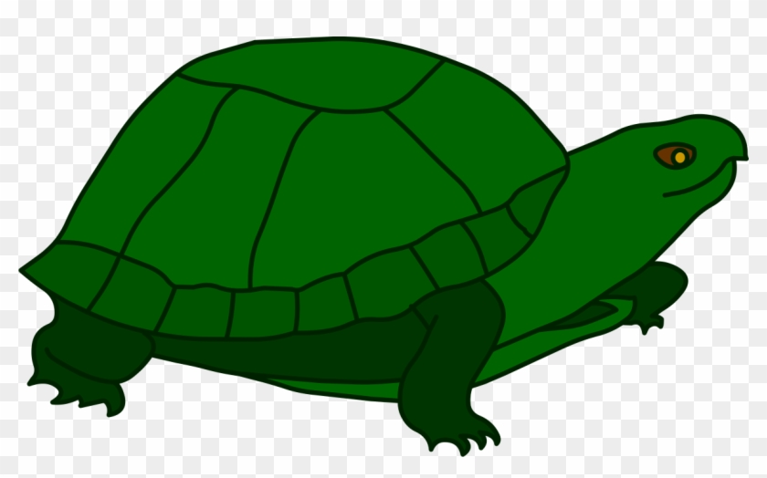Turtle New Hands - Tortoise Clipart