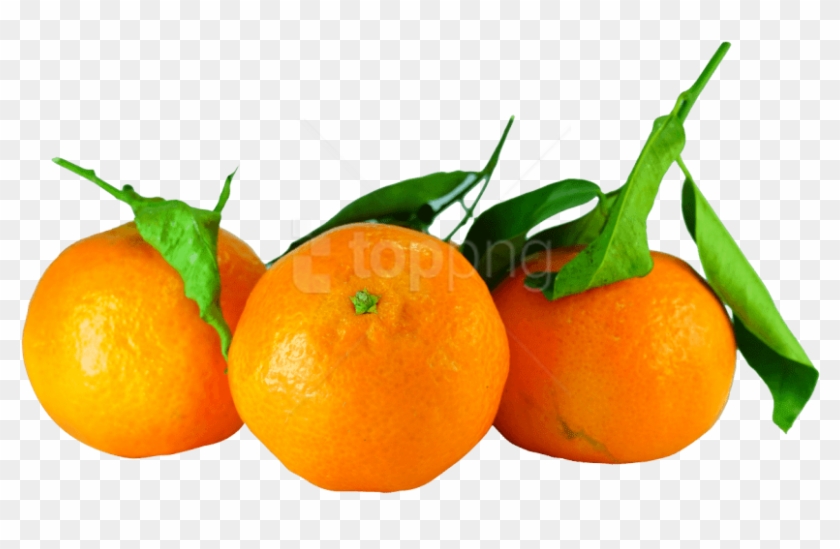 Free Png Tangerines With Leaves Png Images Transparent - Tangerines Png Clipart #5549960