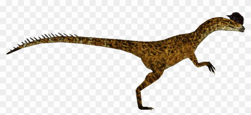 Dilophosaurus , Png Download - Velociraptor Clipart #5550352