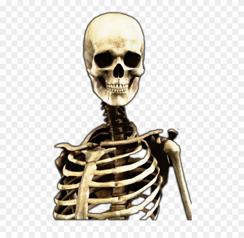 Skeleton Clipart #5550905