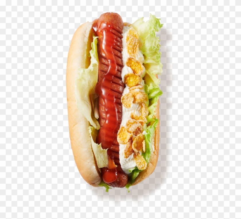Yogeoda Hot Dog Yogeoda Hot Dog 상세 이미지 - Dodger Dog Clipart #5551364
