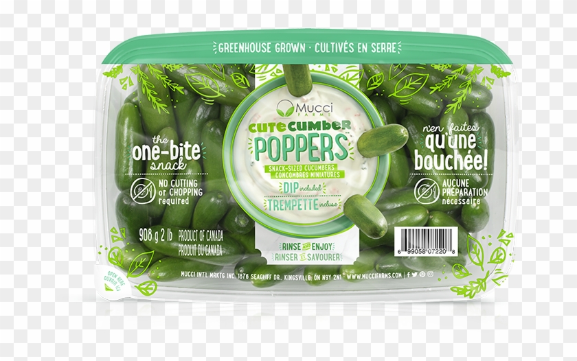 Cutecumber Poppers 2lb - Mucci Mini Cucumbers Clipart
