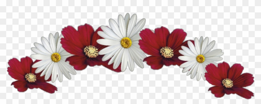 #flower #crown #red #white #jhyuri - Red And White Flower Crown Transparent Clipart #5553620