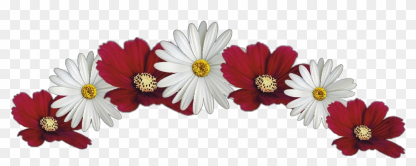 red and white flower crown