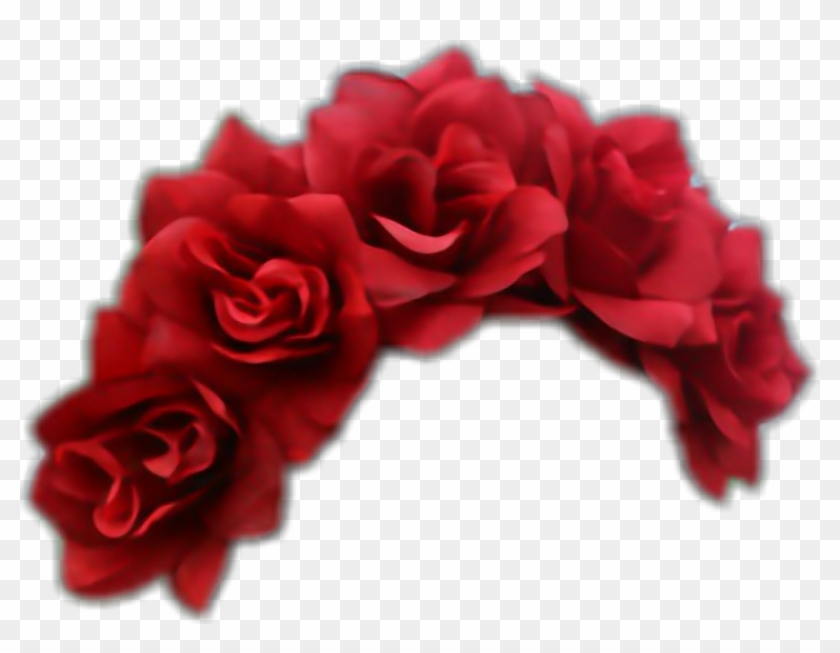 #roses #flowercrown #red - Garden Roses Clipart #5553625