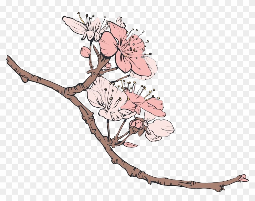Cherry Blossom Vector Clipart