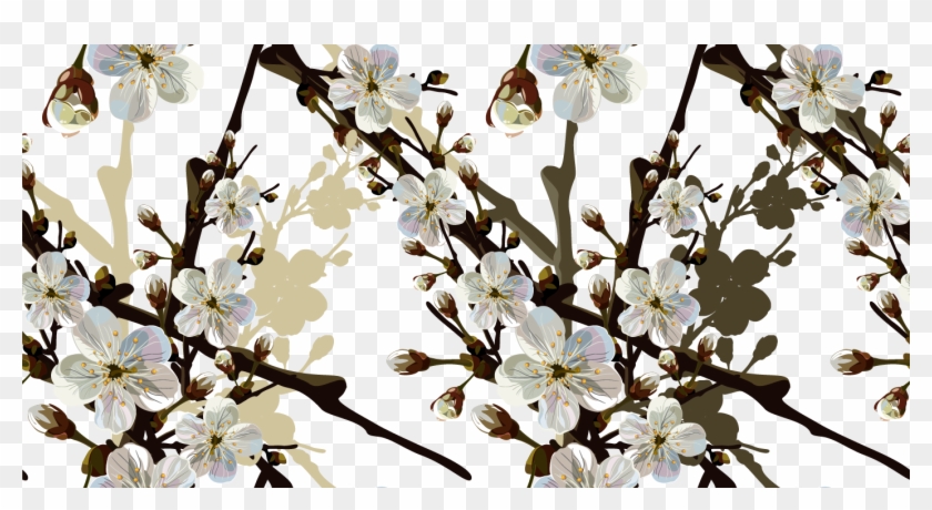 Png Клипарт "beautiful Flowers" - Hoa Mai Trắng Png Clipart #5553905