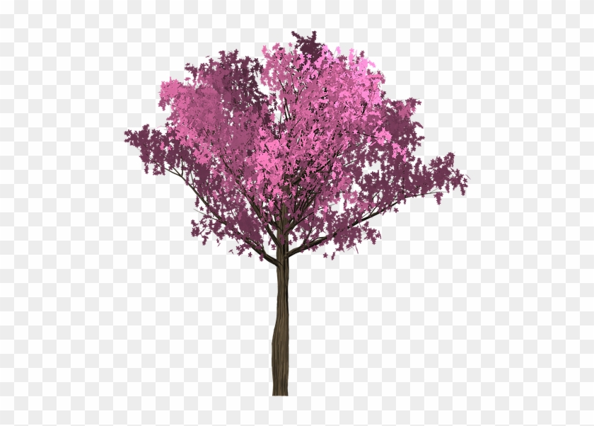 Cherry Pink Tree Painted Tree Purple - Arbol Rosado Png Clipart #5554946