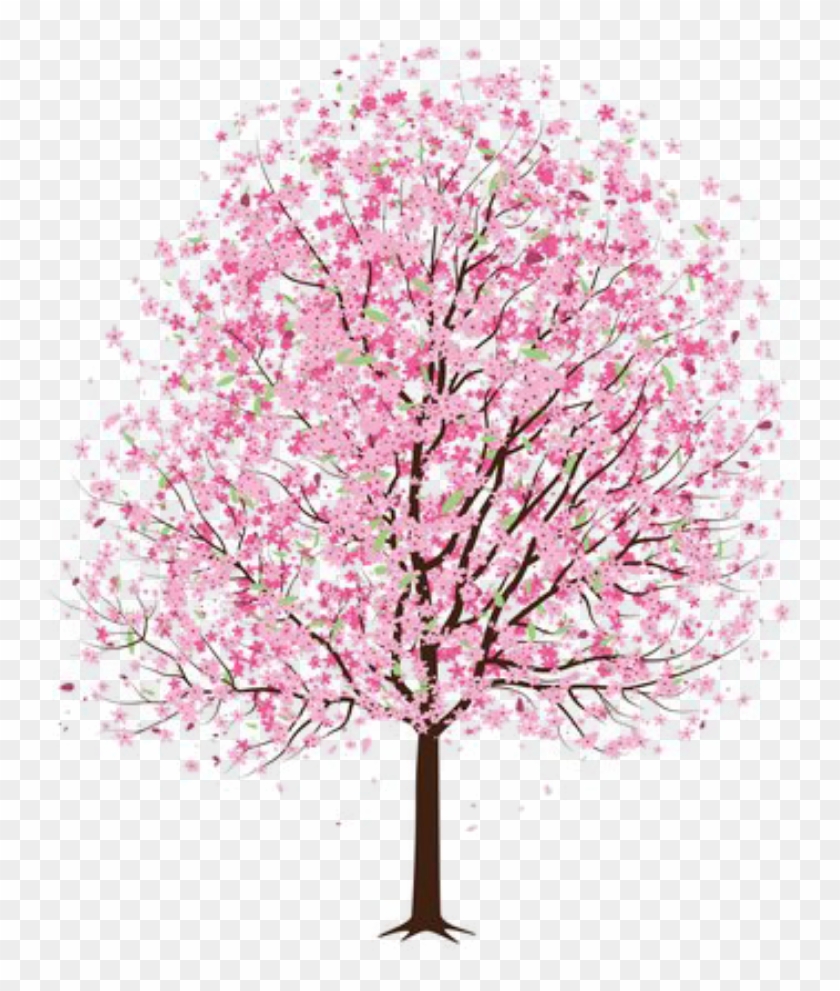 #tree #flower #flowers #pink #pinktree #pinkflower - Japanese Cherry Blossom Tree Drawing Clipart