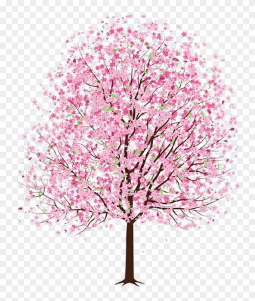 #tree #flower #flowers #pink #pinktree #pinkflower - Japanese Cherry Blossom Tree Drawing Clipart #5555350