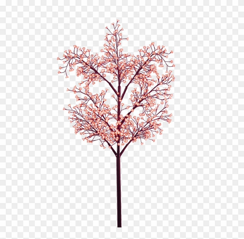 Floral Design Clipart #5555621