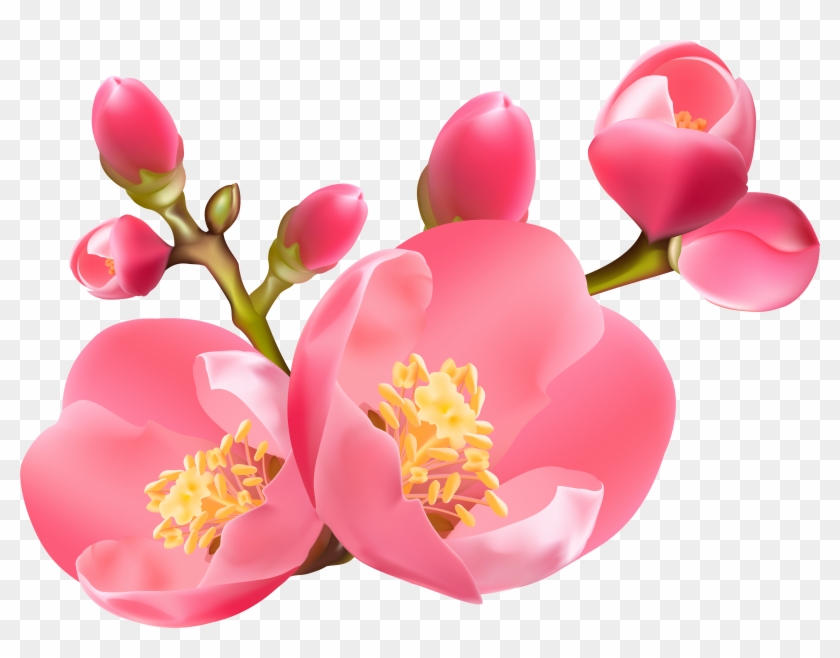 Spring Transparent Png Clip - Spring Blossom Clip Art #5555730