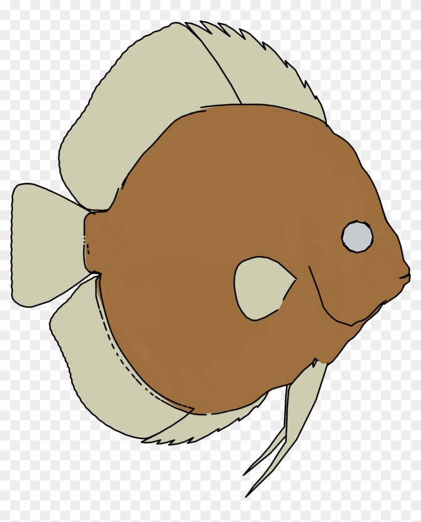 Fish Png Clipart - Cartoon Transparent Png #5557446