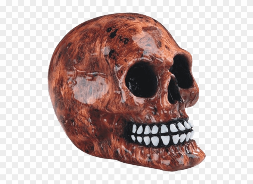 Price Match Policy - Skull Clipart