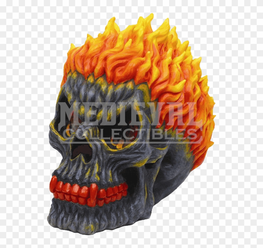 Skull Clipart #5557743
