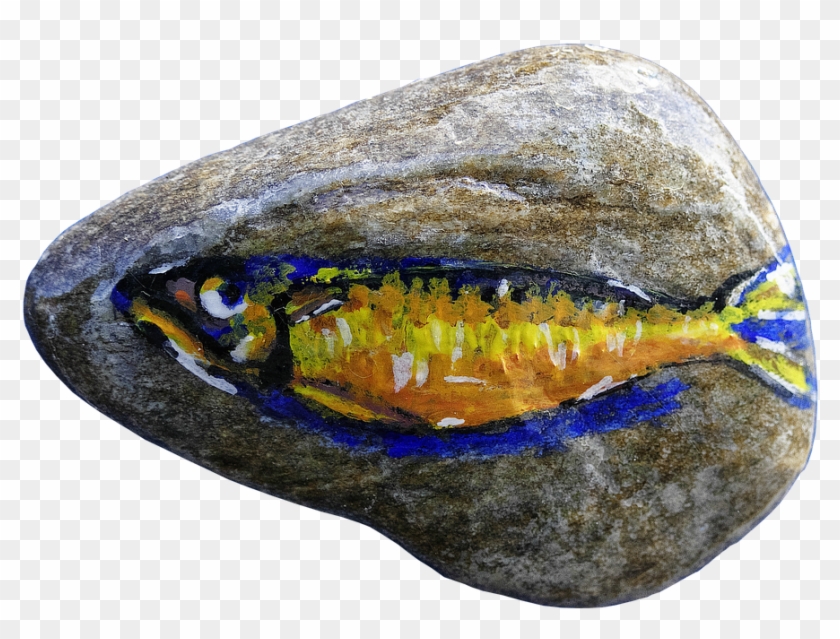 Pebble, Painting, Fish, Colorful, Art, Drawing, Painted - Okra Peji Clipart