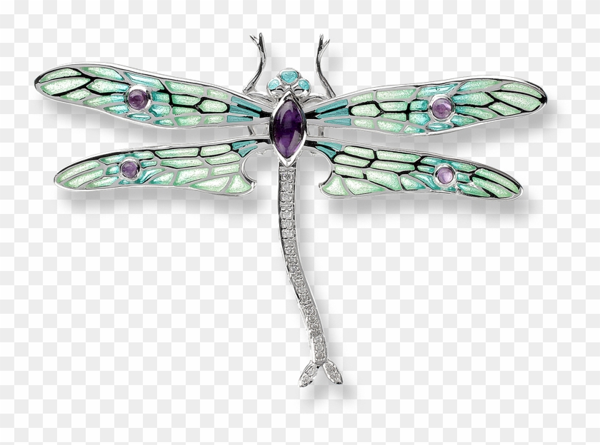 Stock - Nicole Barr Dragonfly Necklace Clipart #5559140