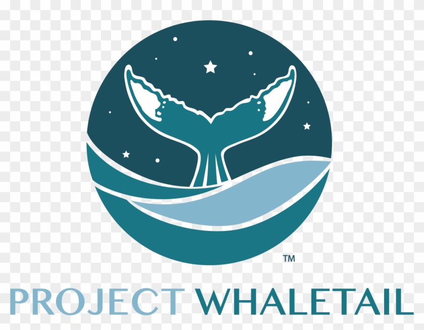 Graphic Design Clipart #5559699