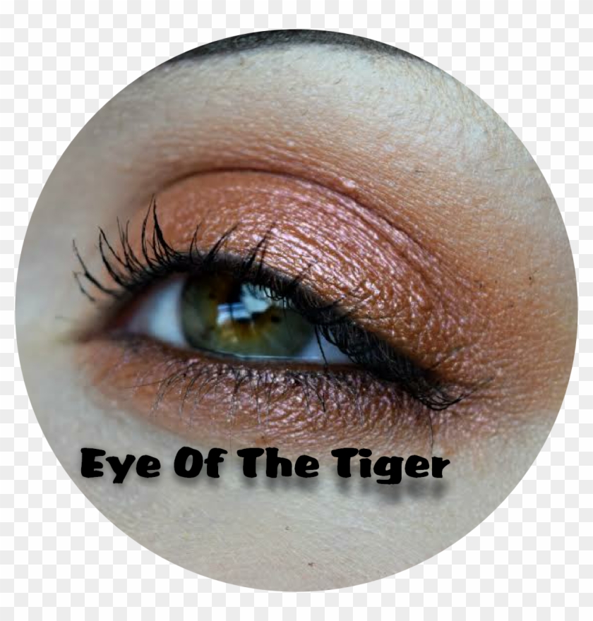 Download Transparent Png - Eye Shadow Clipart