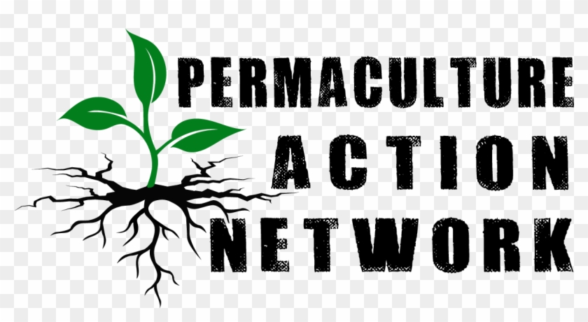 Permaculture Action Network Permaculture Action Network - Permaculture Action Network Clipart #5566028