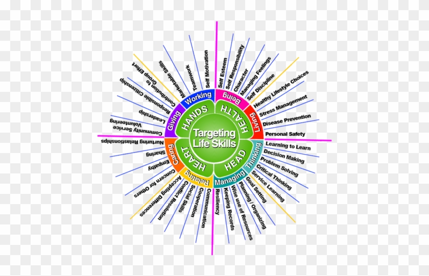 The Growth Of All 4-h Members Regardless Of Participation - Circle Clipart