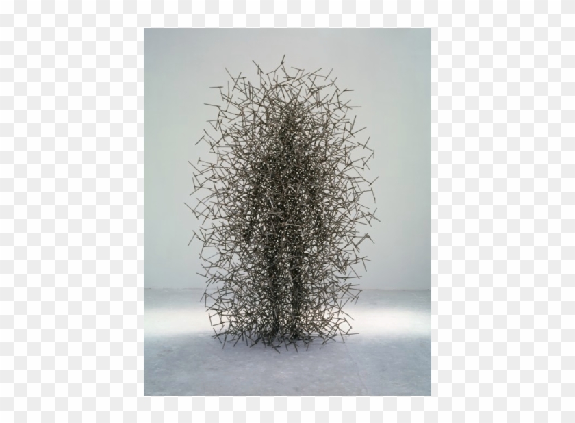 Quantum Cloud Xix, Antony Gormley, Stainless Steel - Antony Gormley Quantum Cloud Clipart
