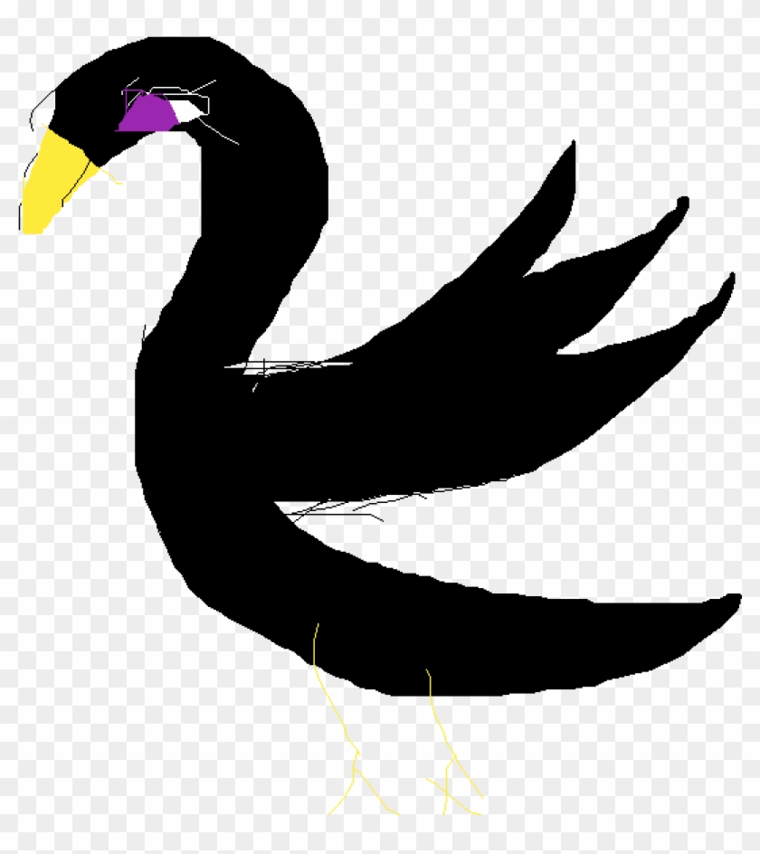 Black Swan - Duck Clipart #5568072